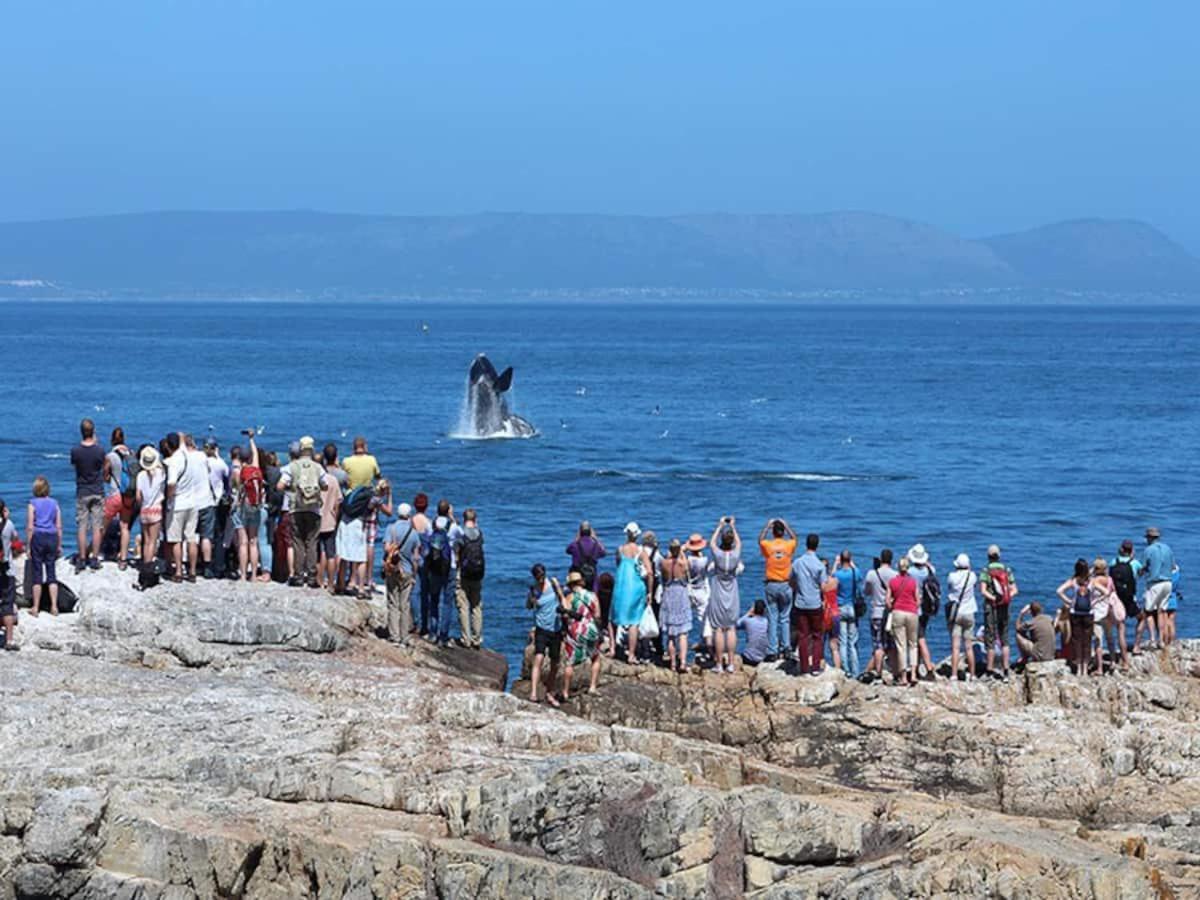 Hermanus Waterfront Apartment Szoba fotó